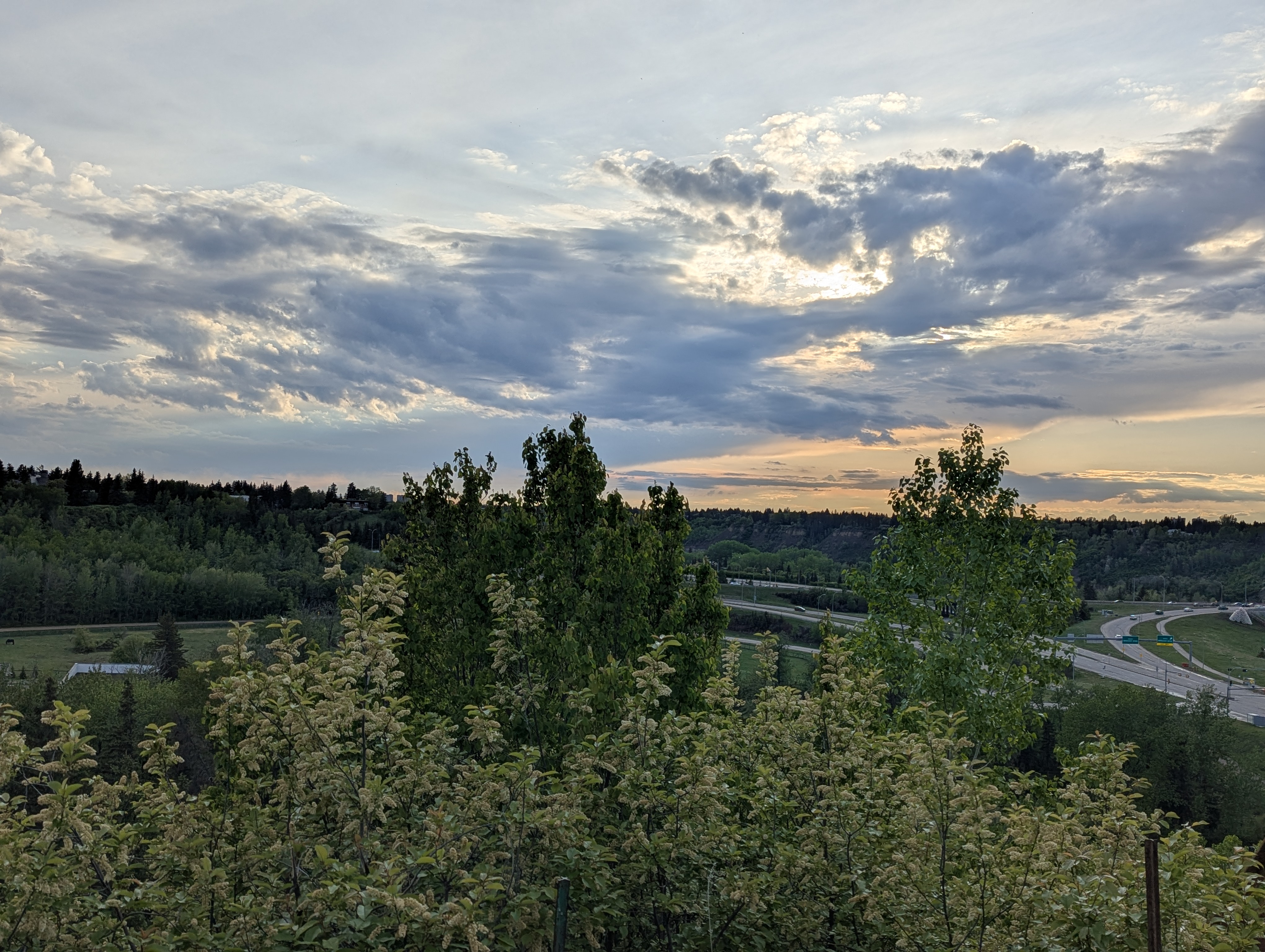 Birthday Trip to Canada, Edmonton